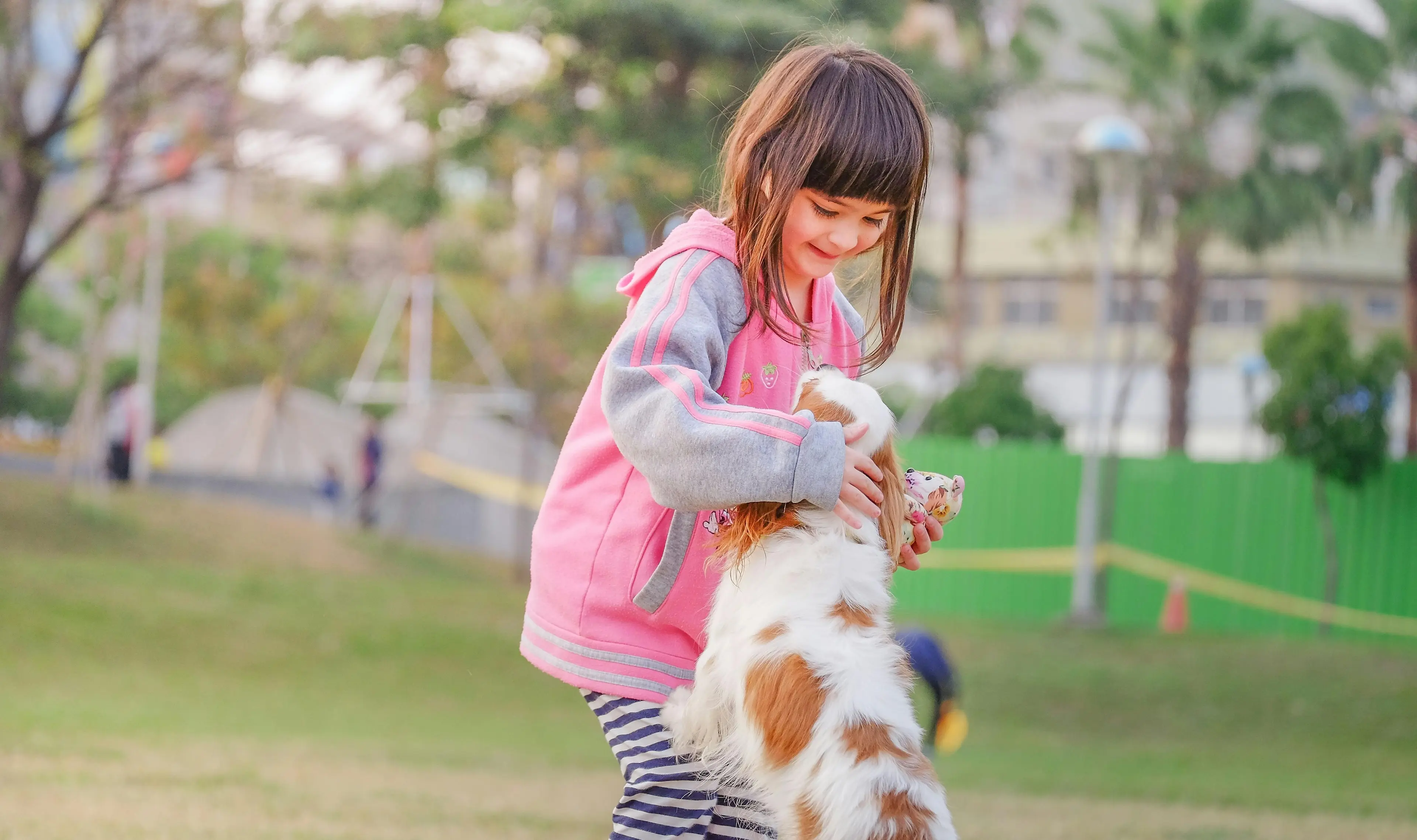 Seguridad para Niños y Mascotas